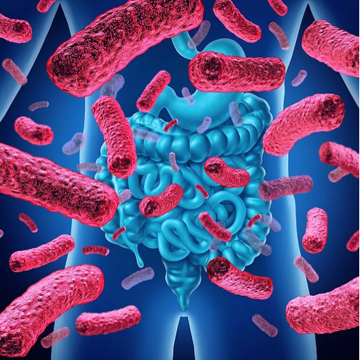 SISTEMA INMUNE Y MICROBIOTA INTESTINAL