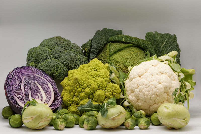 CONTENIDO DE CALCIO EN ALIMENTOS VEGETALES