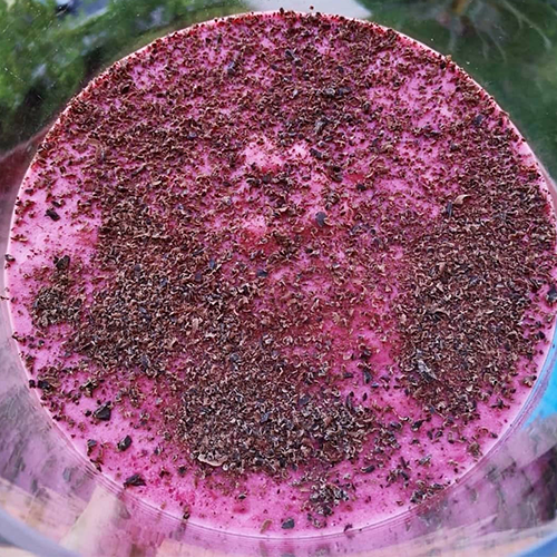 BAVAROIS DE FRAMBUESA